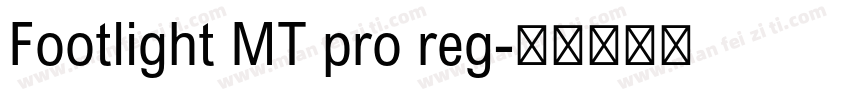Footlight MT pro reg字体转换